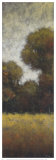 Buy The Wilds I at AllPosters.com