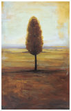 Solitaire II