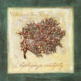 Violescent I