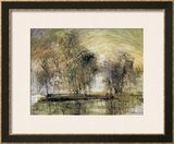 Willows in Morning Wind