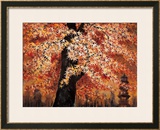 Maple Leaves