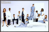 Buy Grey's Anatomy at AllPosters.com