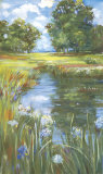 Buy Pond at AllPosters.com