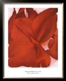Red Cannas Framed Art Print