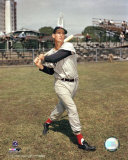 Ted Williams