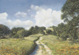Buy Enchanted Valley at AllPosters.com
