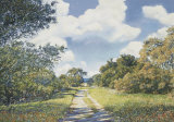 Buy Path Through the Forest at AllPosters.com