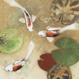 Buy Koi Fest I at AllPosters.com