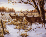 Buy Cautious Crossing at AllPosters.com