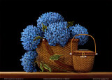 Nantucket Blue