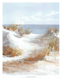 Dune Path