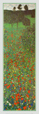 Field of Poppies