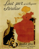 Buy Nestle's Milk at AllPosters.com