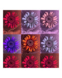 Buy Pepitas Retro Popart Sunflowers at AllPosters.com