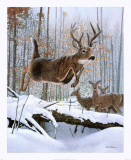 Leaping Deer