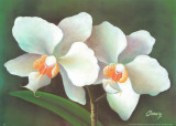 Buy Flores Oscuro I at AllPosters.com