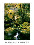 Buy Elowah Falls at AllPosters.com