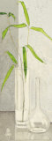 Buy Vicinity at AllPosters.com