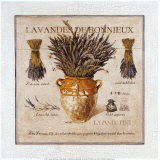 Lavande de Bonnieux