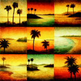 Buy Palm Perspectives at AllPosters.com