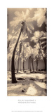 Buy Palm Shadows I at AllPosters.com