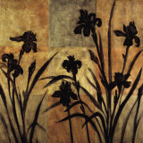 Iris Silhouette II