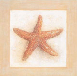 Etoiles de Mer I