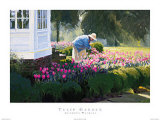 Tulip Garden