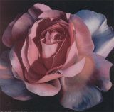 Buy Pink Passion I at AllPosters.com