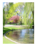Pond's Edge