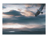 The Flight