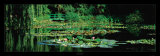 Buy Nympheas at AllPosters.com