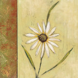 Buy Celadon Beauty I at AllPosters.com