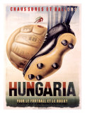 Hungaria Soccer Shoes