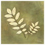 Buy Beech Leaf at AllPosters.com