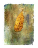 Buy Leaf Painting 3 at AllPosters.com
