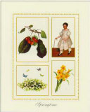 Buy Springtime at AllPosters.com