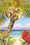 Buy Tropical Horizon at AllPosters.com