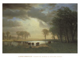 Buy Buffalo Trail c.1867 at AllPosters.com