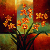 Orange Orchid