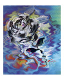 Buy Dance with Me at AllPosters.com