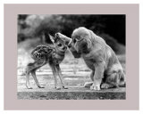 Buy What a Friend at AllPosters.com