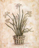 Buy White on White I at AllPosters.com