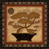 Bonsai I