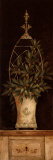 Olive Topiary II
