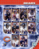 2006 - Chicago Bears Team