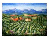Tuscan Vineyard and Abbey