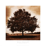 Buy Meadow Land III at AllPosters.com