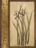 Buy Iris & Foil at AllPosters.com