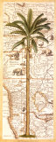 African Palm I